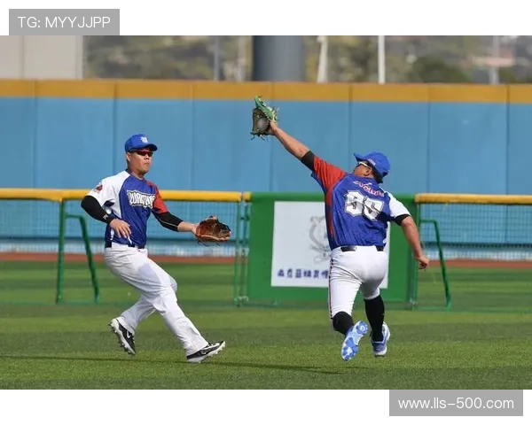 中国垒球装备出口额2024年达1.32亿美元,同比增长18.6%